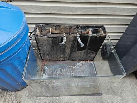 Photo of free Aquarium + Matching Stand (Daly City) #1