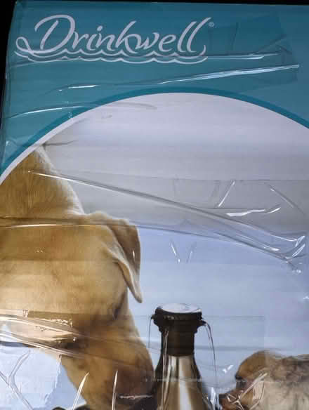 Photo of free Pet water fountain (Meldreth) #4