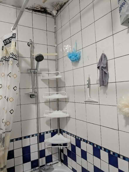 Photo of free Bathroom corner shelves (Brincliffe Edge S7) #2