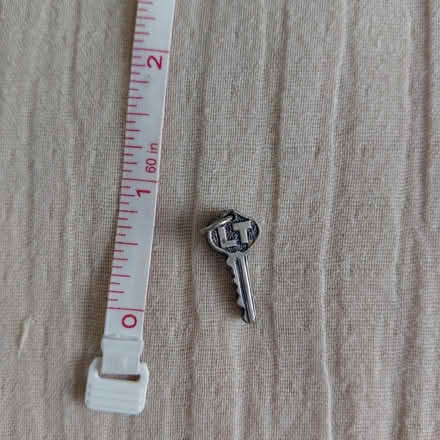 Photo of free Keys pendant (Union City) #1