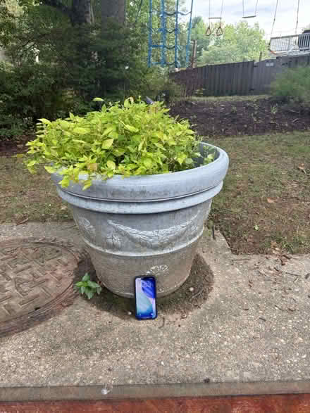 Photo of free Planter (Kensington) #2
