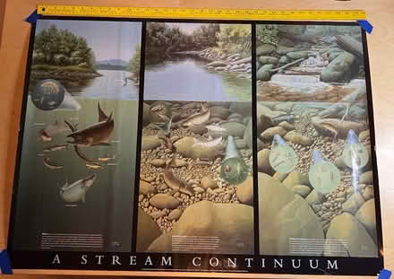 Photo of free Northwest Ecology Posters (Bothell - Canyon Park) #3