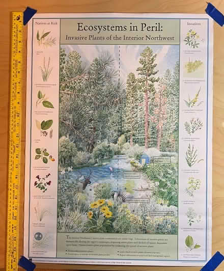 Photo of free Northwest Ecology Posters (Bothell - Canyon Park) #2