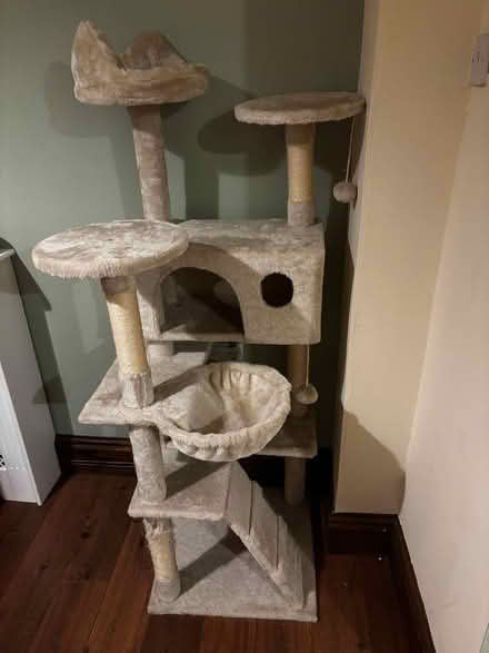 Photo of free Tall cat tree (Stockport SK2) #1