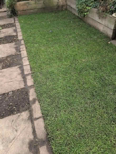 Photo of free 2 rolls garden turf (Gosport PO12) #1