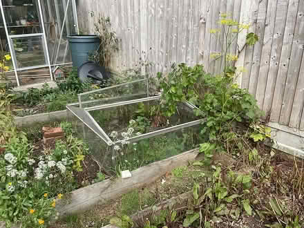 Photo of free Double sided cold frame (Ashingdon Hill Top SS4) #1