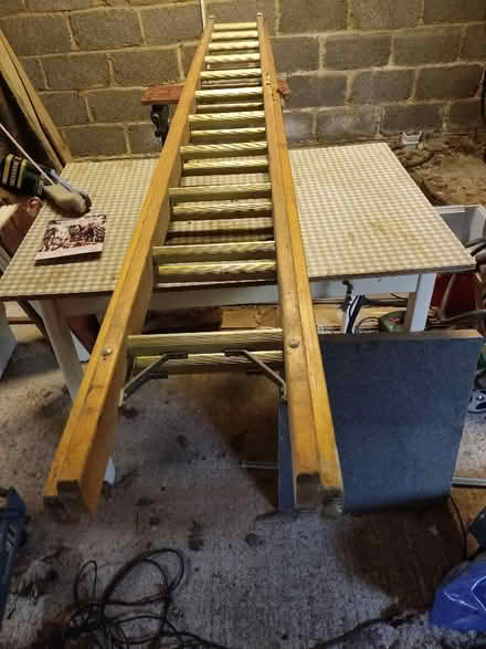 Photo of free Three metre wooden ladder (Windlesham GU20) #2