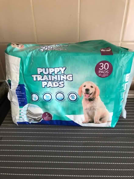 Photo of free Puppy training pads (Letchworth SG6) #1