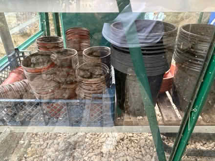 Photo of free Garden pots seed trays and seeds (Limpley stoke BA2) #4