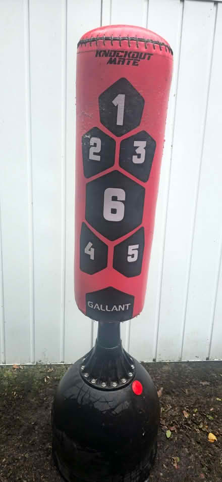Photo of free Full-size adult freestanding punchbag (Pontfaen LL14) #1