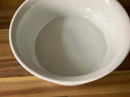 Photo of free Ceramic dish (Stanwell Village TW19) #1