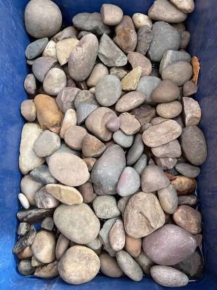 Photo of free Decorative stones (Abingdon OX14) #2