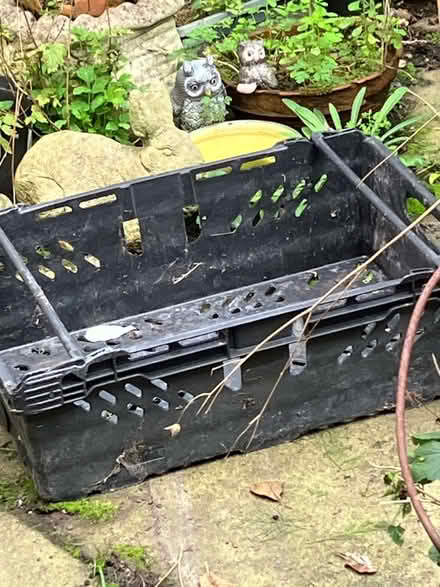 Photo of free Bread crate (Brinnington SK5) #1