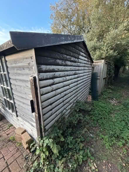 Photo of free Wooden Shed (Claverton Down, Bath) #3