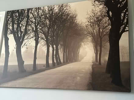 Photo of free Large canvas picture (Rothley) #1