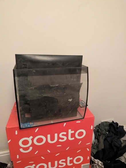 Photo of free Fish Tank (Stoke Newington, N16) #3