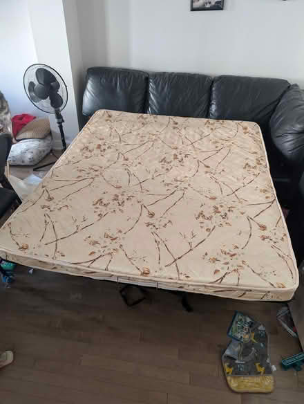 Photo of free Pull out sofa bed (Center) #3