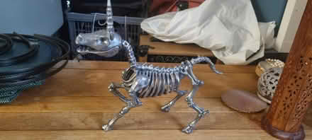 Photo of free Plastic unicorn skeleton (Purley CR8) #1