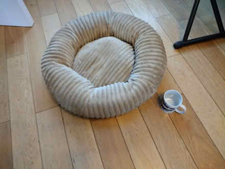 Photo of free Small dog bed (Dunstable LU5) #1