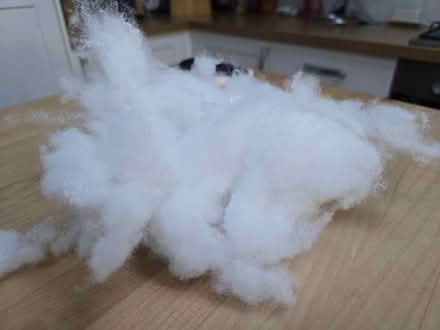 Photo of free Stuffing - For Cushions (Seaford BN25) #1