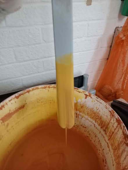 Photo of free Waterproof wood treatment. Harvest Gold. (Frimley Ward GU16) #4