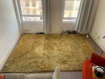 Photo of free Big yellow golden rug (Kemptown BN2) #1