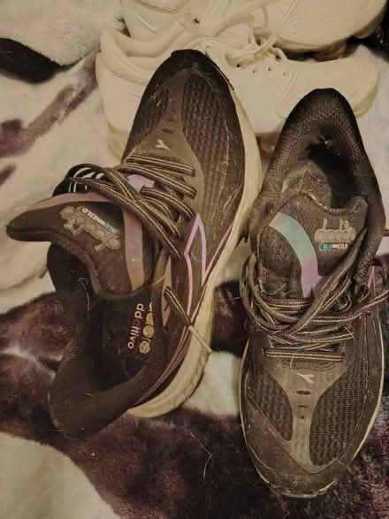 Photo of free Trainers (L17) #3
