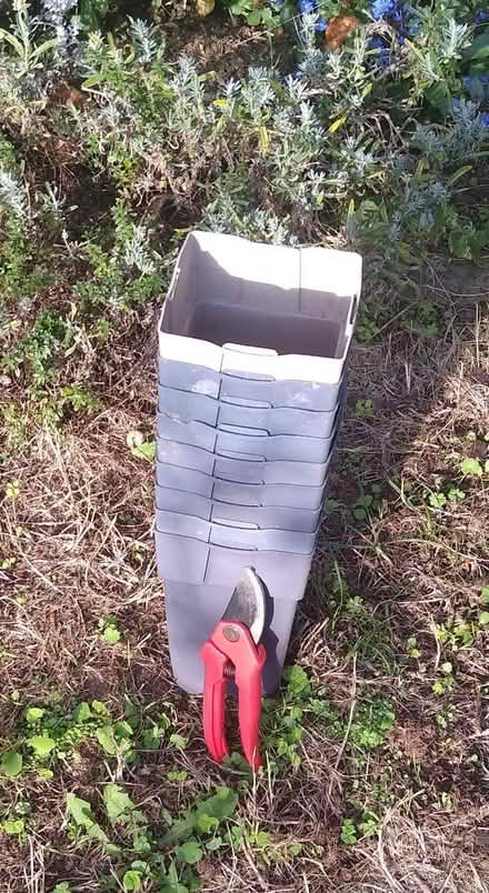 Photo of free 9 tall plant pots- square profile (Thorpe Bay, SS1) #1