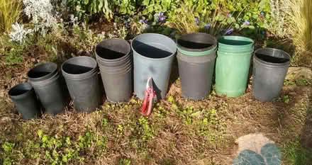 Photo of free 25 tall round plastic plant pots (Thorpe Bay, SS1) #2