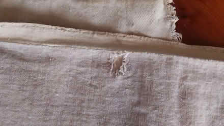 Photo of free Cotton velvet fabric 324cm x 115 cm (Bailbrook BA1) #4