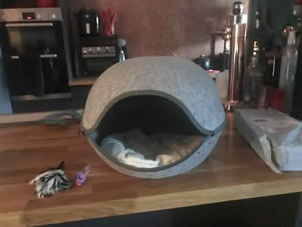 Photo of free Cat pod (Marchwood, SO40) #2