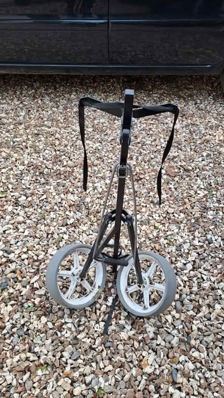 Photo of free Golf trolley (Bramley, Hants RG26) #1