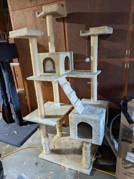 Photo of free cat trees (Barron Park) #1