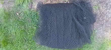 Photo of free Butterfly netting (Ip2) #1