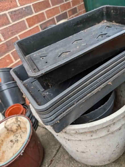 Photo of free Seed trays x6 (Cannon Park CV4) #1