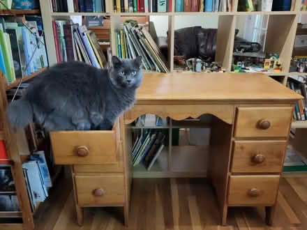 Photo of free Solid Wood desk (Old town Greenbelt) #3