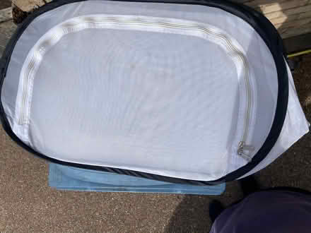 Photo of free Pop up enclosure for insects (Wooburn Green HP10) #2