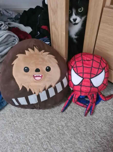 Photo of free Teddies (Keighley bd21) #1