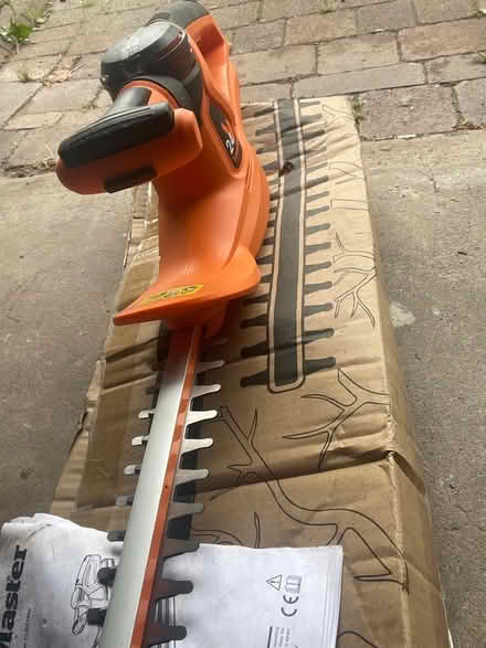 Photo of free Law master hedge trimmer (Bridge of Allan FK9) #2