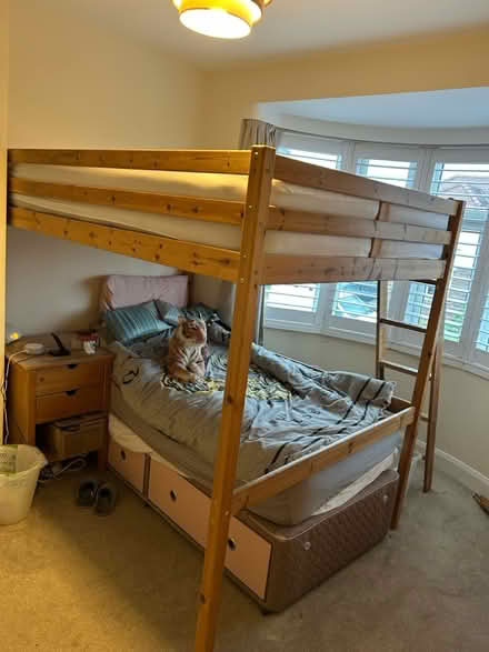 Photo of free Raised double loft bed (Harrogate HG2) #1