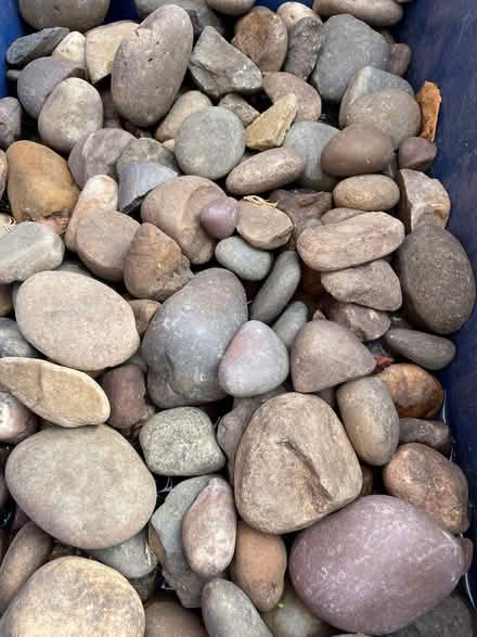 Photo of free Decorative stones (Abingdon OX14) #1