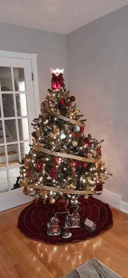 Photo of free 6ft xmas tree (Hiawatha Park) #1