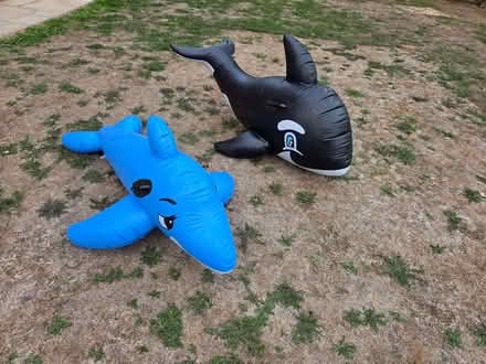 Photo of free Inflatable pool fish (Bengeo SG14) #1