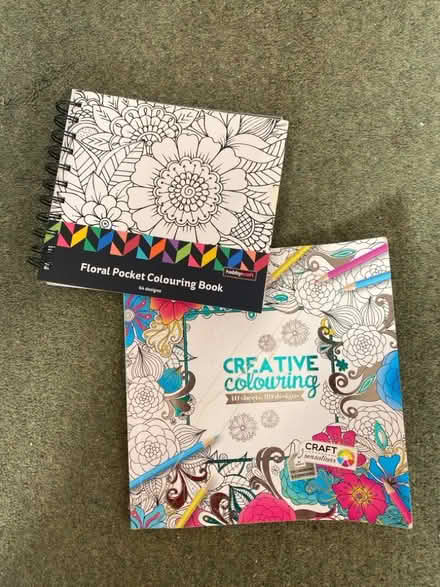 Photo of free Adult Colouring books (Blacklands TN34) #1