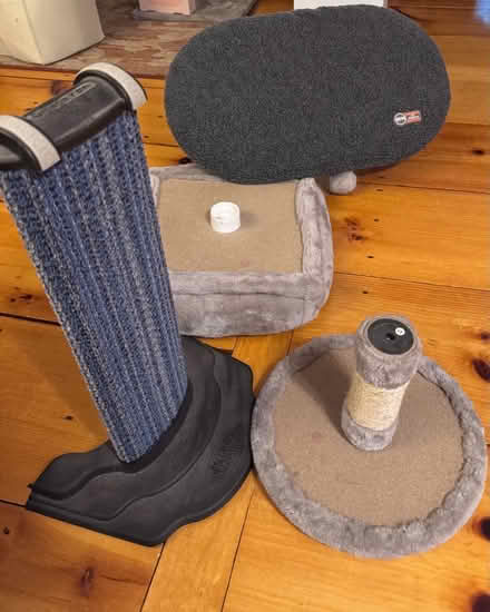 Photo of free Miscellaneous cat items (Groton, near Lawrence Academy) #2