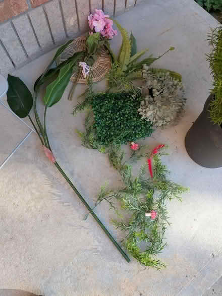 Photo of free Fake plants (Montreal road and St Laurent) #1