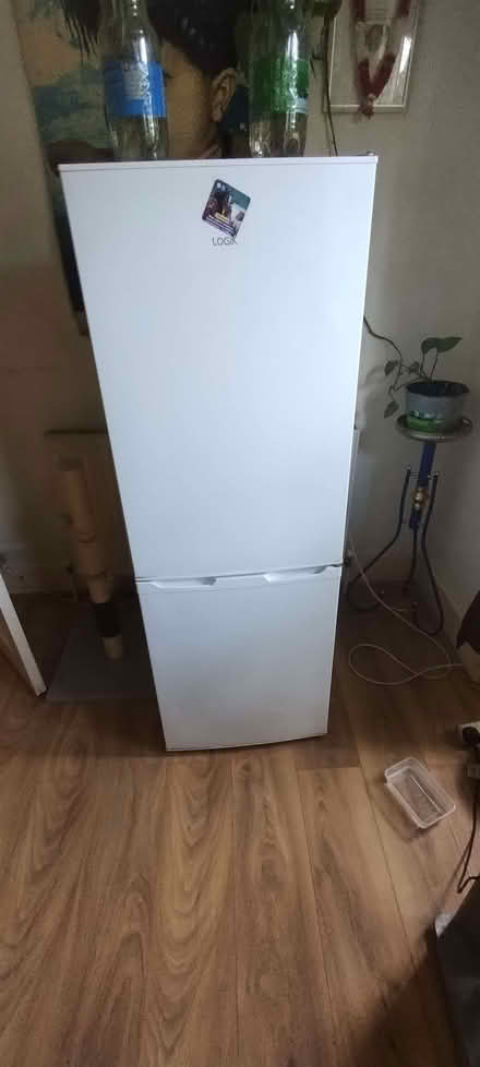 Photo of free Fridge/freezer (Catford South SE6) #4