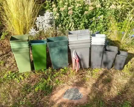Photo of free 20 tall plant pots-square profile (Thorpe Bay, SS1) #1