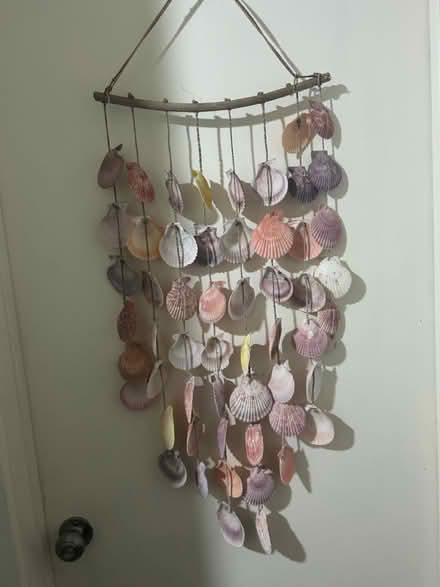 Photo of free Seashell wall hanging (Park Blvd) #1