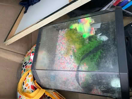 Photo of free Fish tank small, hexagonal (Wombourne WV5) #1